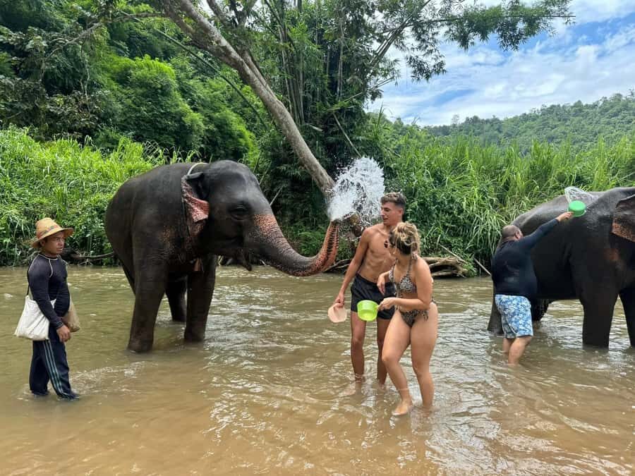 Chiang Mai: Elephant Sanctuary & Pha Chor Canyon - The Details that Matter
