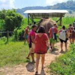 Chiang Mai Elephant Village Life: Long Neck & Bamboo Rafting - A Day Filled with Meaningful Activities