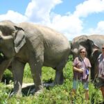 Chiang Mai Ethical Watching Elephant Sanctuary tour - What Travelers Are Saying (Based on Reviews)