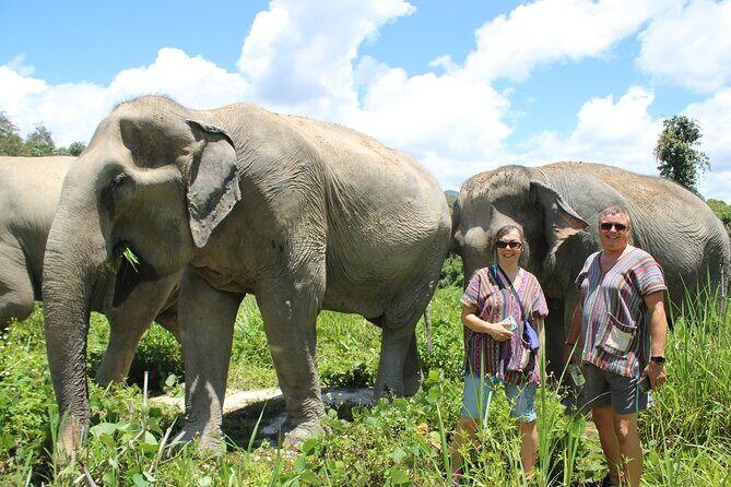 Chiang Mai Ethical Watching Elephant Sanctuary tour - What Travelers Are Saying (Based on Reviews)