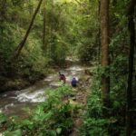 Chiang Mai : Follow the River in Chiang Dao Full Day Hiking - An Authentic Natural Escape with Purpose