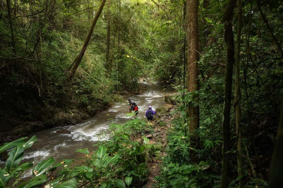 Chiang Mai : Follow the River in Chiang Dao Full Day Hiking - An Authentic Natural Escape with Purpose