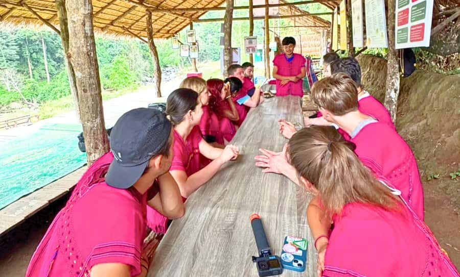 Chiang Mai: Full Day Ethical Elephant Sanctuary & Waterfall - The Day-by-Day Experience