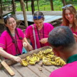 Chiang Mai Half Day Elephant Sanctuary Observation and Waterfall - Feeding and Viewing Elephants