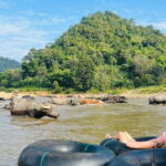 Chiang Mai Half-Day River Tubing & Elephant Observation - What Makes It a Great Choice?