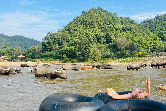 Chiang Mai Half-Day River Tubing & Elephant Observation - What Makes It a Great Choice?