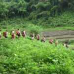 Chiang Mai: Hill Tribes Trek (Palong) with Lunch & Transfers - Who Would Love This Tour?