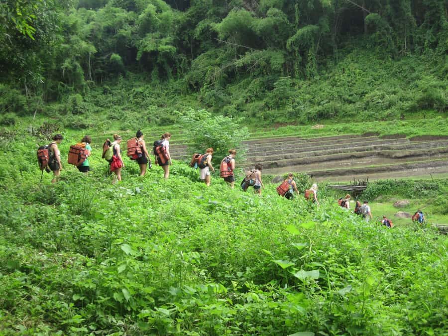 Chiang Mai: Hill Tribes Trek (Palong) with Lunch & Transfers - Who Would Love This Tour?