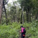 Chiang Mai: Hmong Village, Doi Suthep and Wat Pha Lat Trek - Good To Know