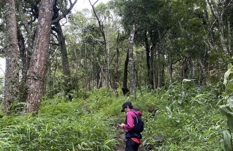 Chiang Mai: Hmong Village, Doi Suthep and Wat Pha Lat Trek - Good To Know