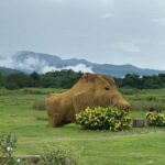 Chiang Mai: Huai Tueng Thao Half Day Tour with Lunch - Practical Details and What You Should Know