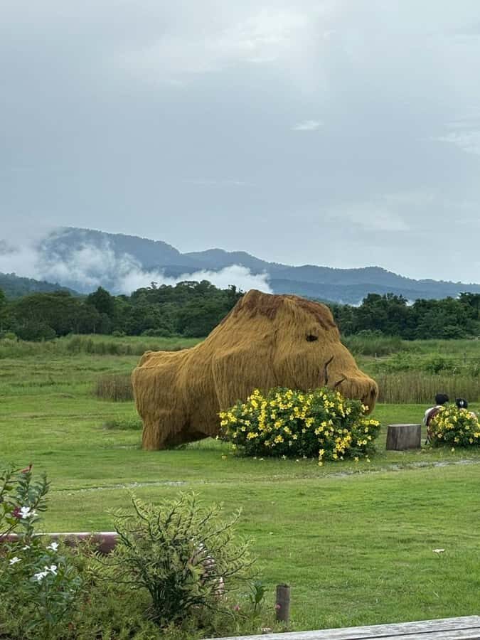 Chiang Mai: Huai Tueng Thao Half Day Tour with Lunch - Practical Details and What You Should Know