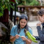 Chiang Mai: Mae Kampong Jungle Hike and Cooking Class - Why This Tour Works for Travelers