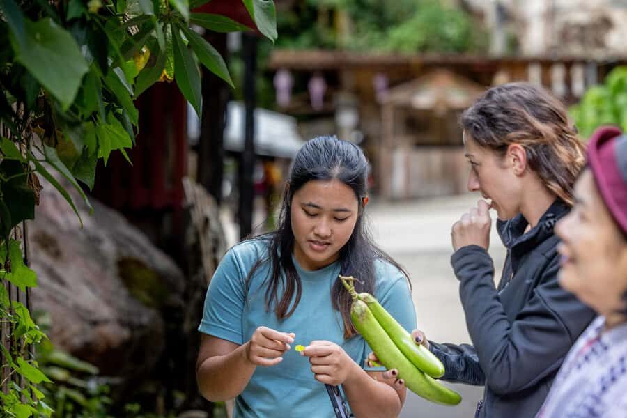 Chiang Mai: Mae Kampong Jungle Hike and Cooking Class - Why This Tour Works for Travelers