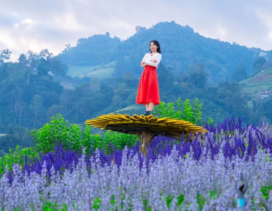 Chiang Mai: Mon Jam Flower Hills, Alpaca Cafe & Dantewada - Why This Tour Offers Great Value