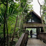 Chiang Mai: Nature and Nurture 1-Day All About Love Retreat - Why This Retreat Is Worth Considering
