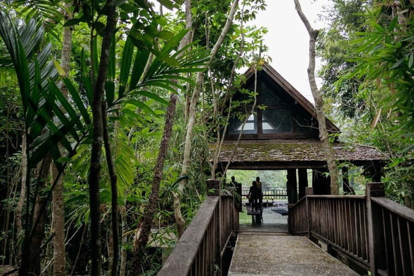 Chiang Mai: Nature and Nurture 1-Day All About Love Retreat - Why This Retreat Is Worth Considering