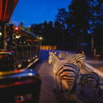 Chiang Mai Night Safari Full Access Ticket & Optional Pickup - What to Expect from the Chiang Mai Night Safari