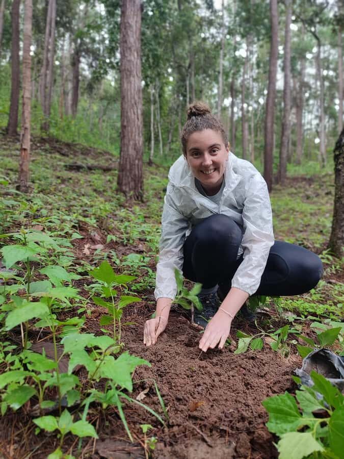 Chiang Mai: Plant a Tree Adventure Tour - Why Choose This Tour?