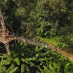 Chiang Mai Sky Hawk Zipline Adventure in the Jungle Canopy - The Sum Up