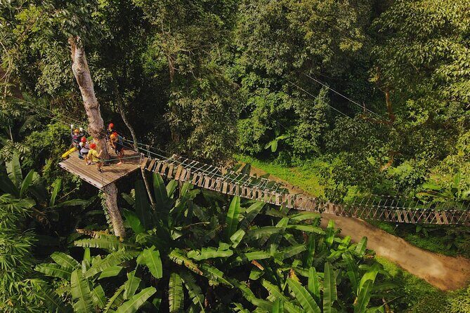 Chiang Mai Sky Hawk Zipline Adventure in the Jungle Canopy - The Sum Up