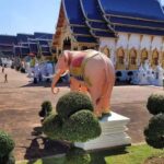 Chiang Mai: Sticky Waterfall and Blue Temple Tour - Practical Considerations and Tips