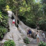Chiang Mai : Sticky Waterfall, Cave, Forest Walk Tour - First Stop: Bua Thong Sticky Waterfalls
