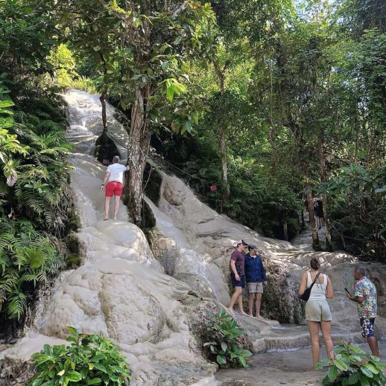 Chiang Mai : Sticky Waterfall, Cave, Forest Walk Tour - First Stop: Bua Thong Sticky Waterfalls