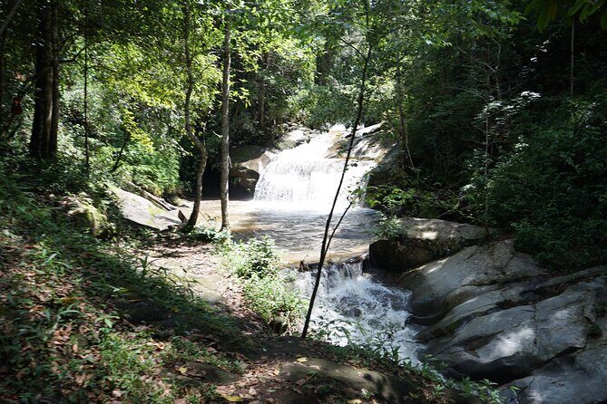 Chiang Mai Trekking Tour :Full day (no rafting) - Who Will Love This Tour?
