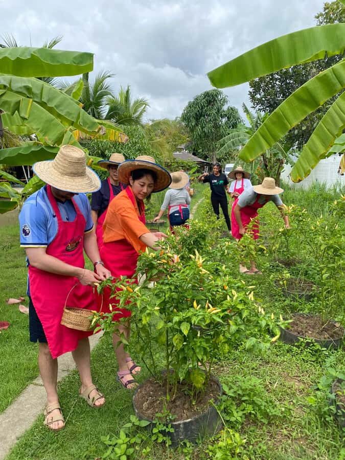 Chiang Mai:Farm-to-Table Cooking Class & Buatong Waterfall - Why This Tour Works  