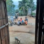 Chiang Rai 1 Day Jungle Trek with Bamboo Lunch & Local Guide - The Logistics: What You Need to Know