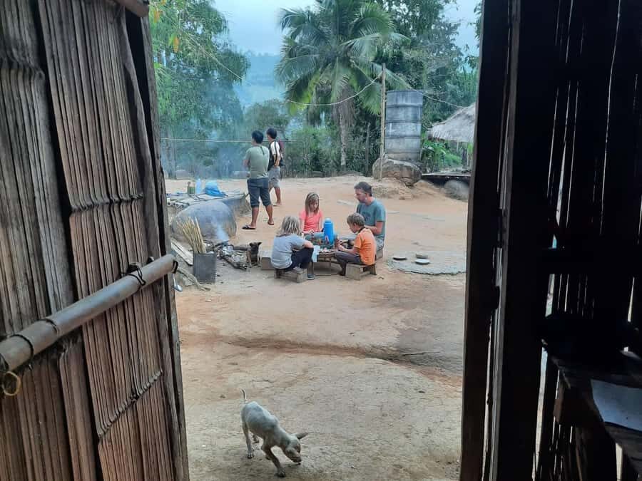 Chiang Rai 1 Day Jungle Trek with Bamboo Lunch & Local Guide - The Logistics: What You Need to Know