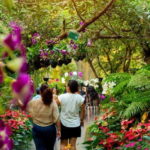 Chiang Rai: Excursion White, Blue,Red Temples & Lalitta Café - The Experience from Past Travelers