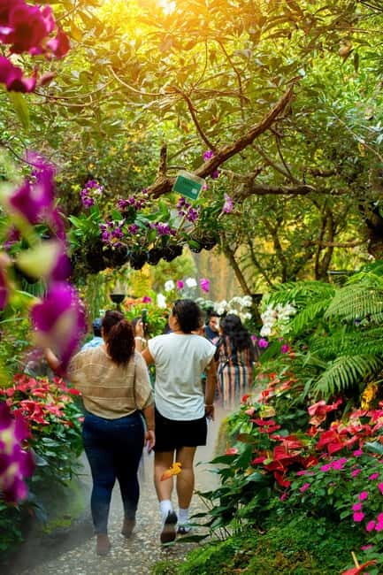 Chiang Rai: Excursion White, Blue,Red Temples & Lalitta Café - The Experience from Past Travelers