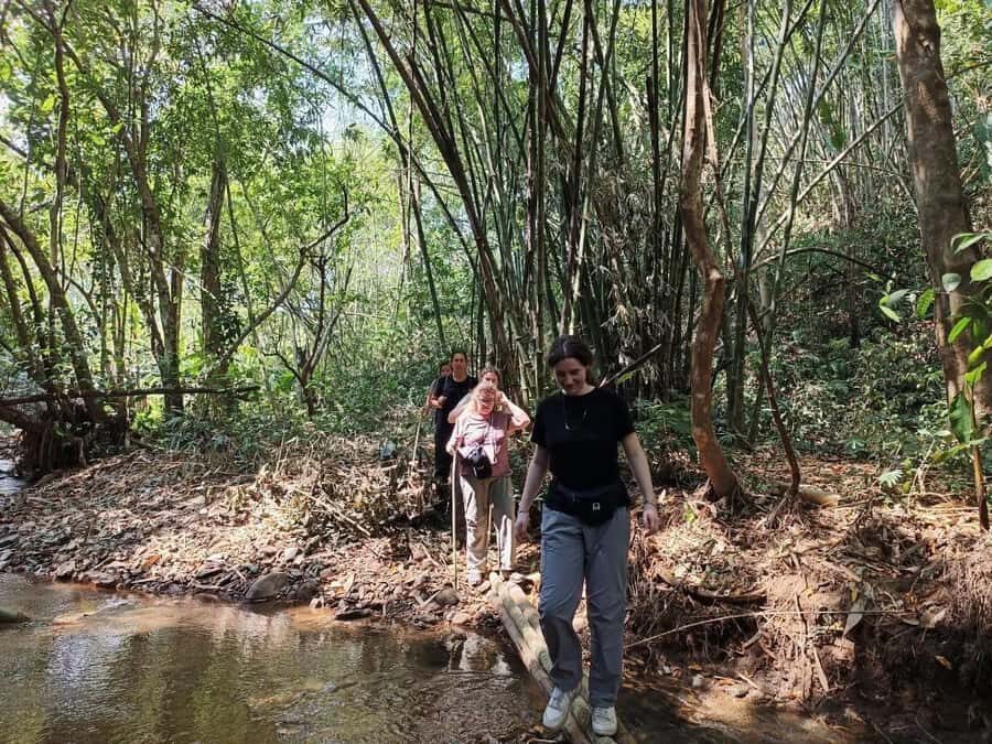 Chiang Rai: Jungle Trek, Waterfall, and Bamboo Raft Tour - Why This Tour Offers Good Value