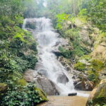 Chiang Rai: The Adventure of Trekking & Bamboo Cooking - The Itinerary: A Day Packed with Nature, Culture, and Fun