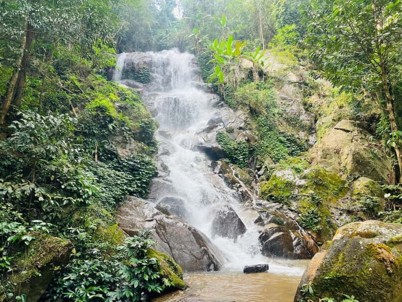 Chiang Rai: The Adventure of Trekking & Bamboo Cooking - The Itinerary: A Day Packed with Nature, Culture, and Fun