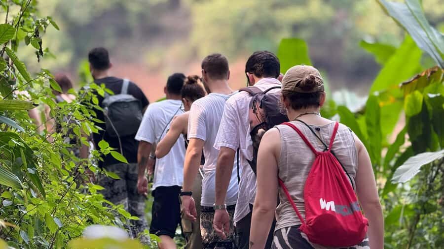 Chiang Rai: Unforgettable Trekking Tour with Bamboo Cooking - Jungle Trekking and Survival Skills
