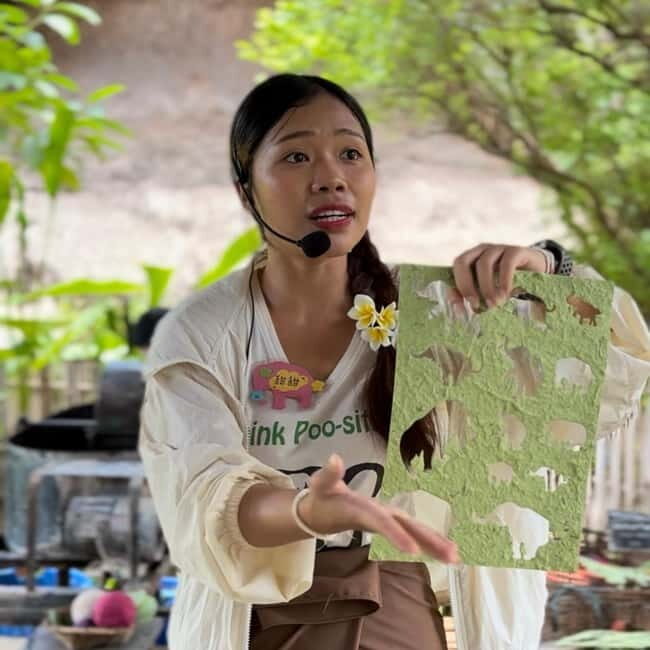 ChiangMai Elephant POOPOOPAPER Park Optional StickyWaterfall - What to Expect During Your Visit