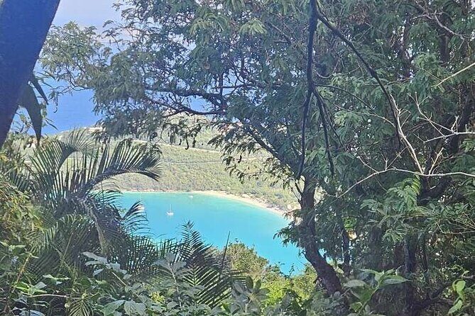 Children's Botanical Garden in St. Thomas USVI - Why This Tour Offers Good Value