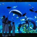 Chimelong Spaceship Theme Park - Who Is This Tour Best For?