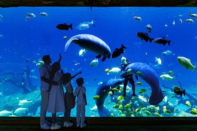 Chimelong Spaceship Theme Park - Who Is This Tour Best For?