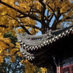 China Hollywood and Yiwu-the offline Temu commercial heaven - Cultural and Imperial Experiences