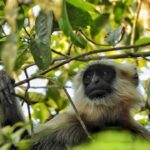 Chitwan: 3-Day Jungle Walk, Canoe Ride, and Jeep Safari back - In-Depth Breakdown of the Itinerary