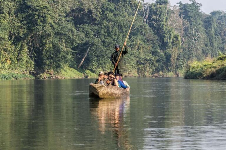 Chitwan: 3-Day Luxury Safari with Room, Meals & Transfers - The Value of This Tour