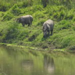 Chitwan: Full-Day Safari Canoeing and Jungle Walk and Jeep - What Makes This Tour Stand Out?