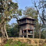 Chitwan Jungle Safari 3-Day Tour - The Real-World Experience: What Travelers Say