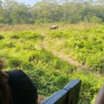 Chitwan Jungle Safari from Kathmandu and Back Multi Day Tour - Detailed Breakdown of the Itinerary