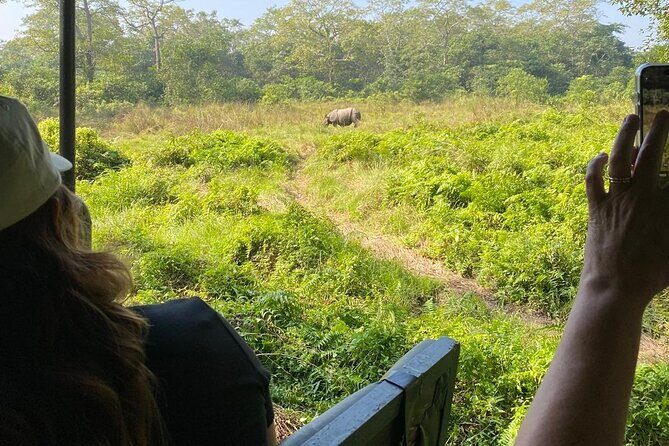 Chitwan Jungle Safari from Kathmandu and Back Multi Day Tour - Detailed Breakdown of the Itinerary