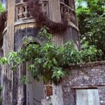 CHONGQING City Guided Hiking Day Tour: Lens, Bites & Hidden Steps - What to Expect from the Experience